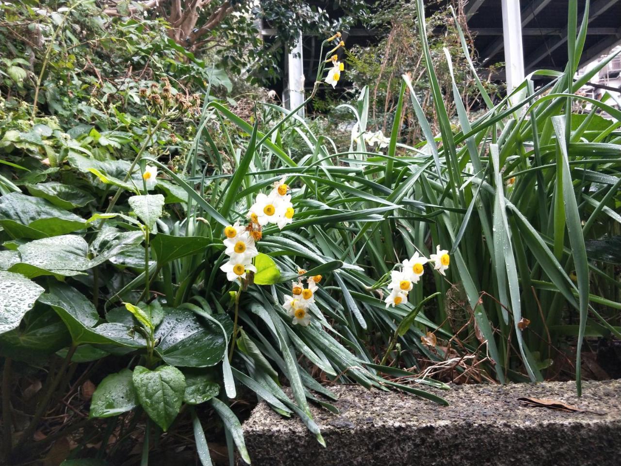 Izu Hokkawa Seaside Guesthouse 伊豆北川の家 Higashiizu Esterno foto