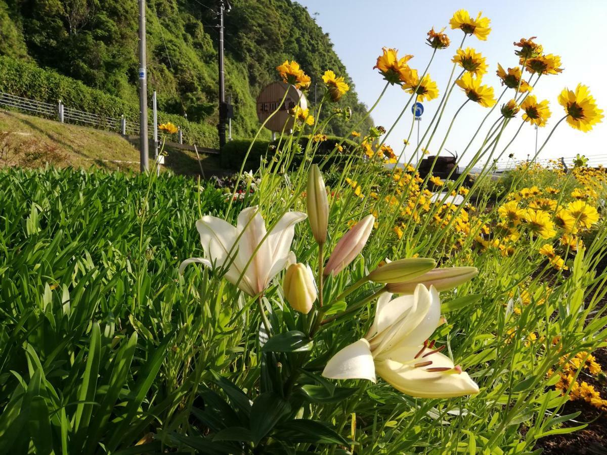 Izu Hokkawa Seaside Guesthouse 伊豆北川の家 Higashiizu Esterno foto